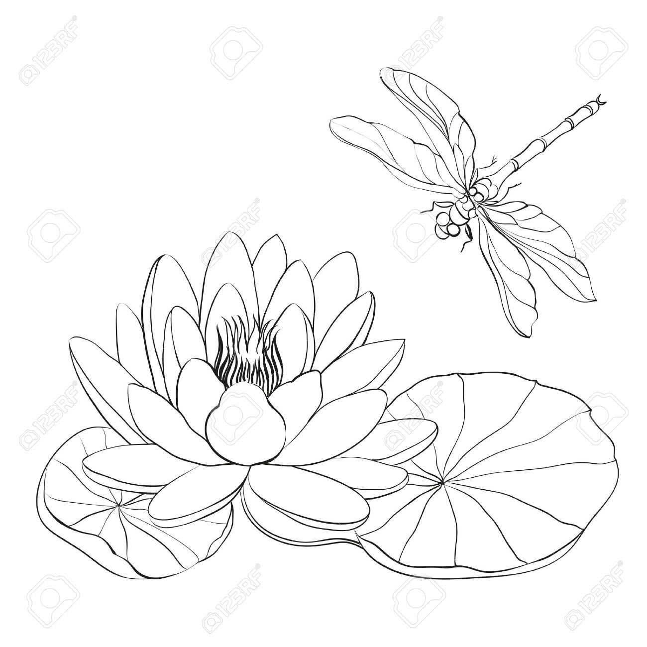 Lily Cliparts, Stock Vector And Royalty Free Lily