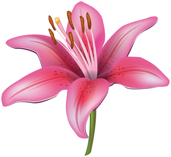 Moana clipart realistic flower, Moana realistic flower