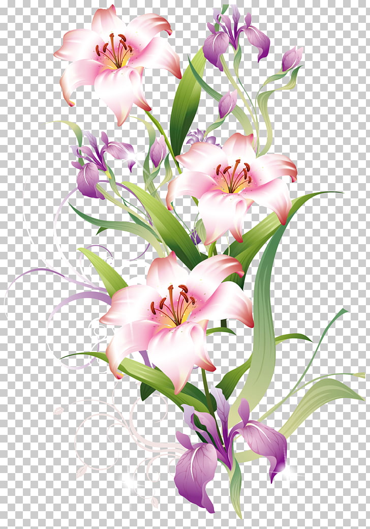 Flower , Lilium Decoration , white and red flowers PNG