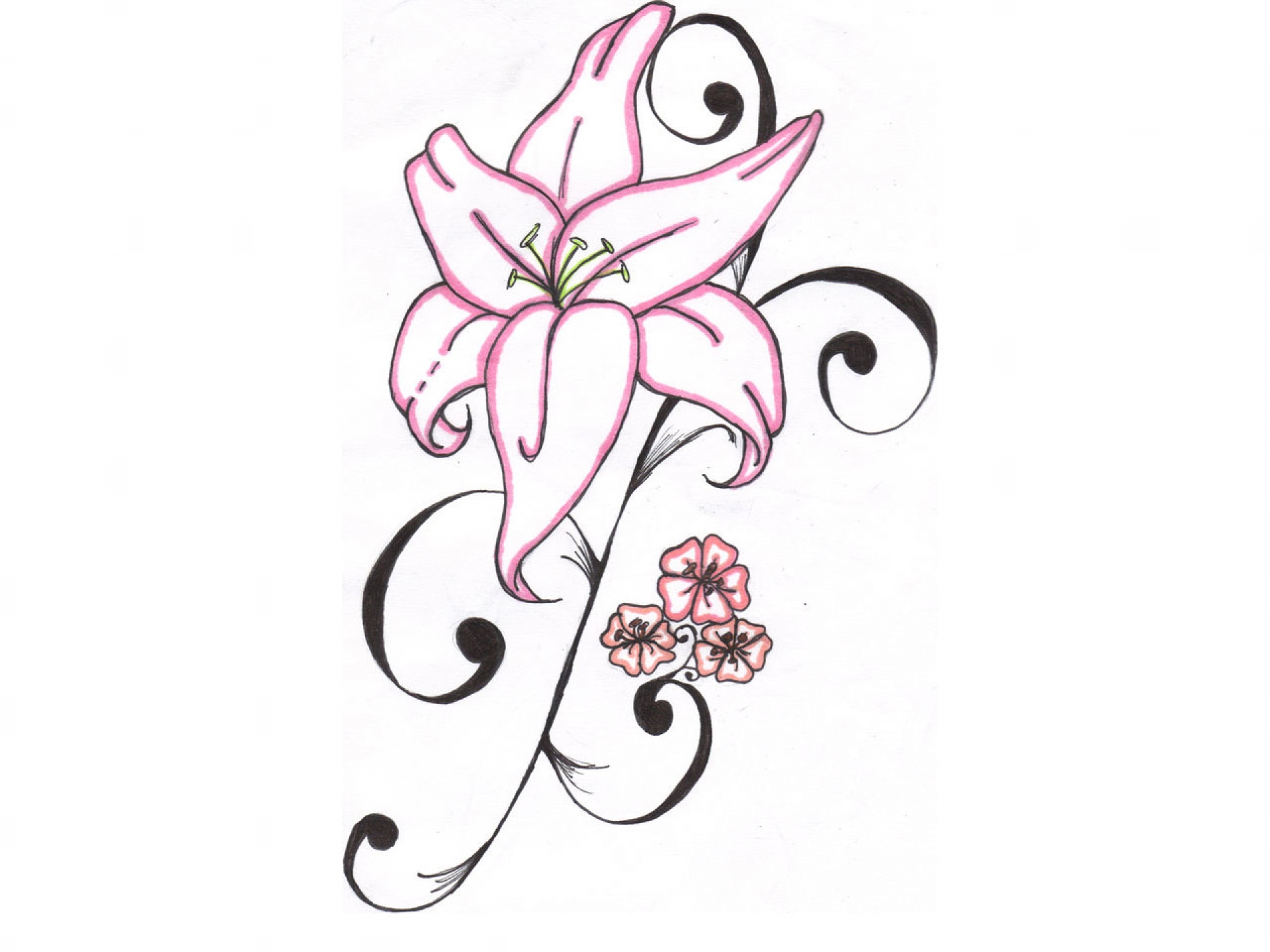 Free Cartoon Lily Flower, Download Free Clip Art, Free Clip