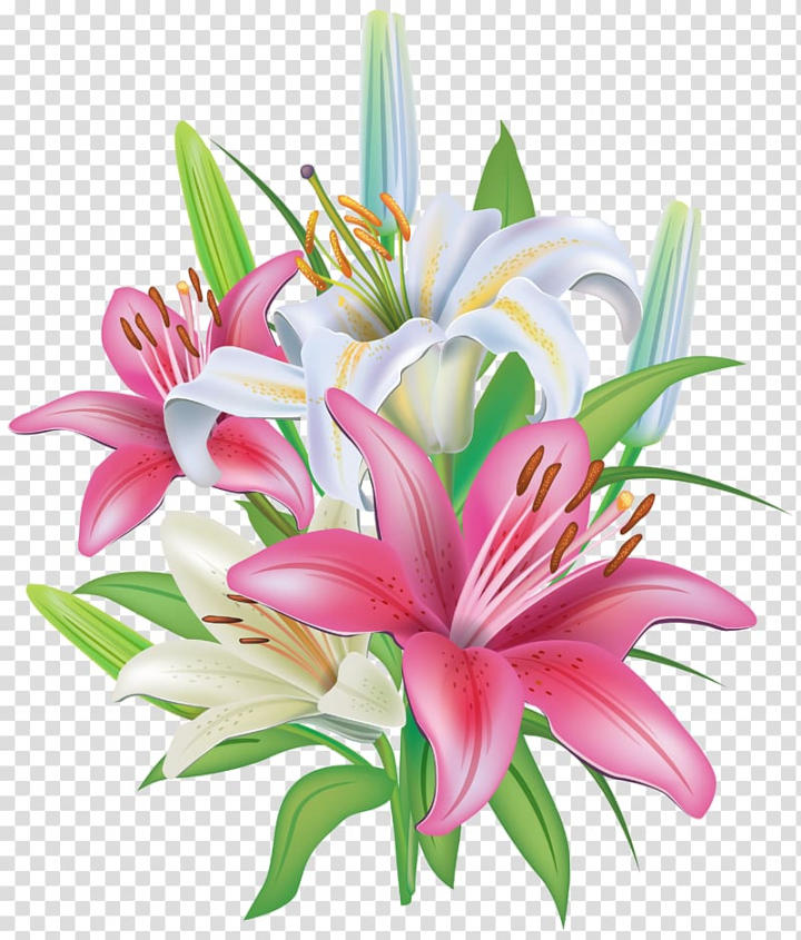 White and pink flowers illustration, Lilium