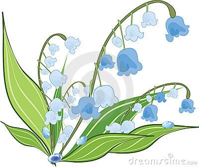 Lily Valley Flower Design Stock Illustrations