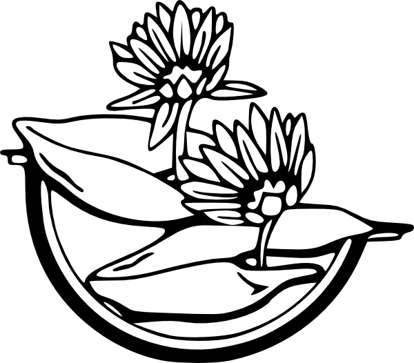 Water Lily clip art Free vector in Open office drawing svg