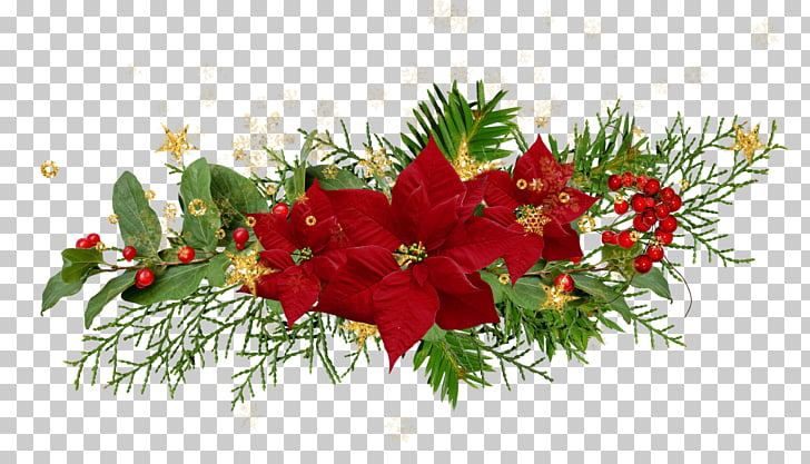 Christmas Flower Desktop Poinsettia, noel PNG clipart