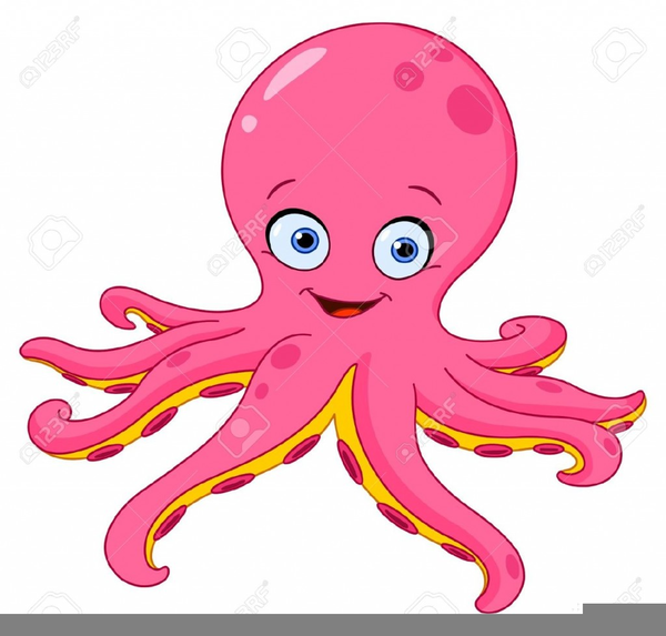 Octopusgiant pacific octopuscartooncephalopodpink.