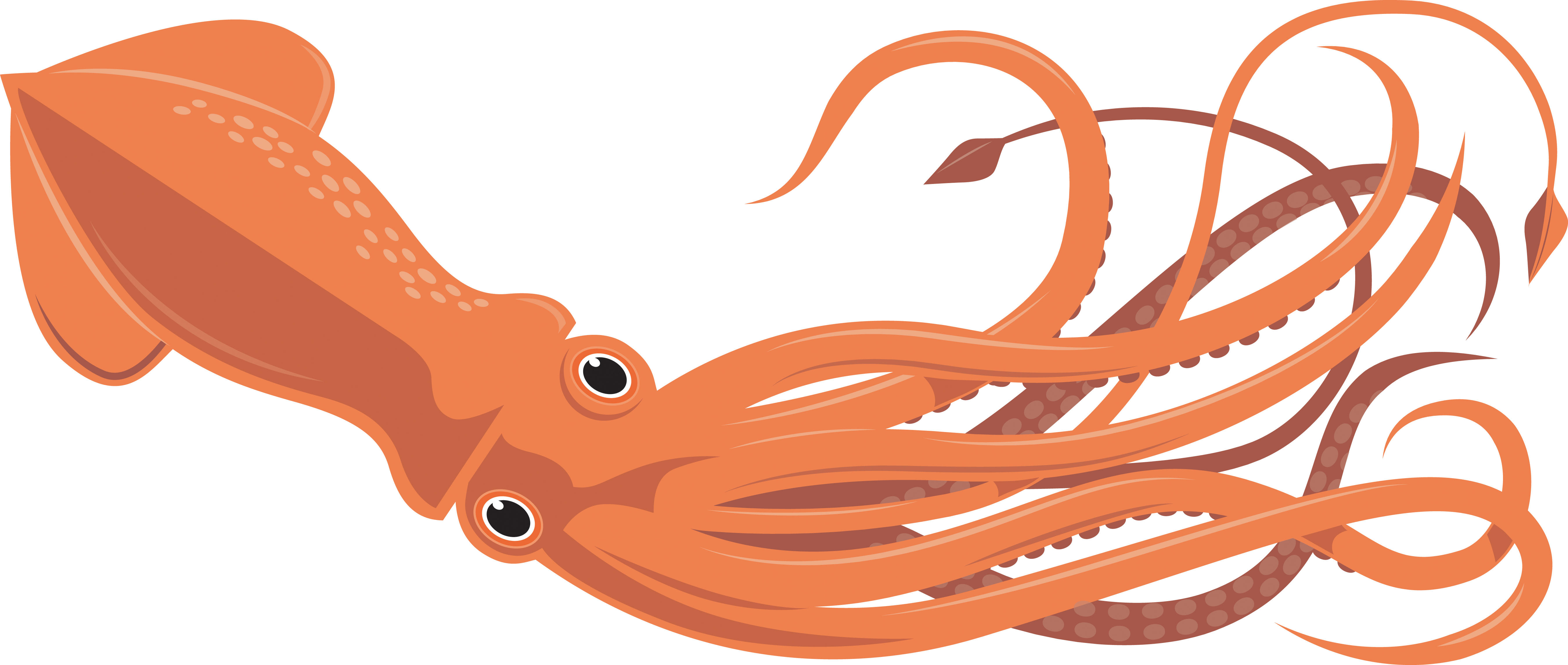 Free Squid Cliparts, Download Free Clip Art, Free Clip Art