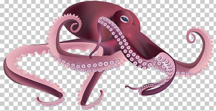 Octopus squid png.