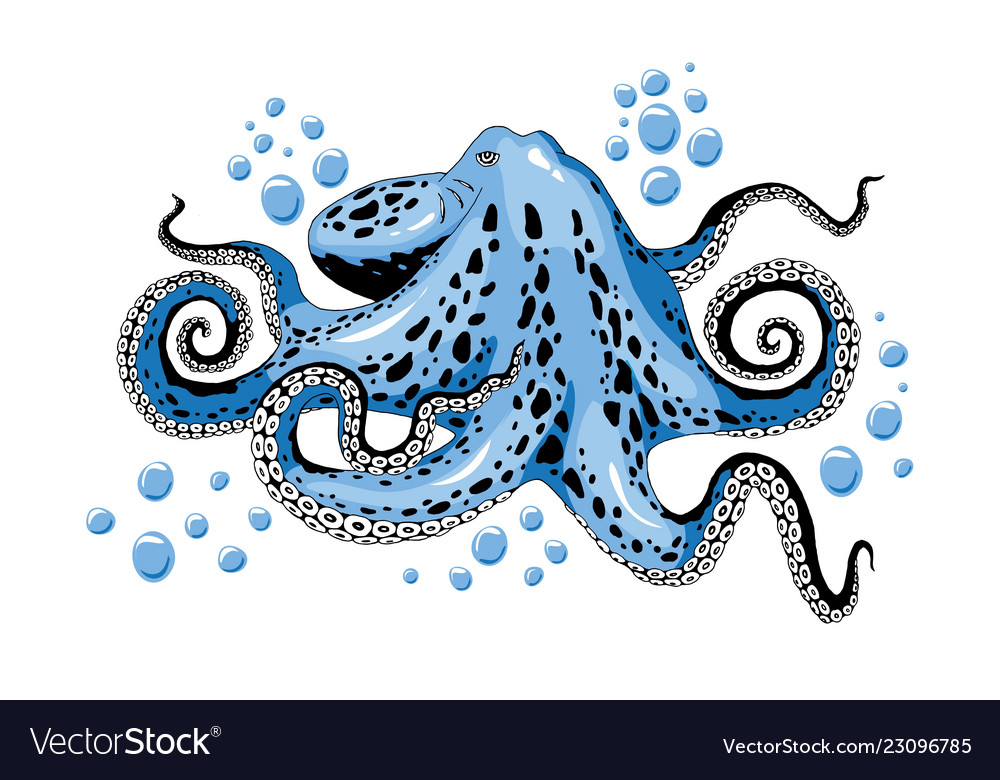 Cartoon skye blue octopus clip