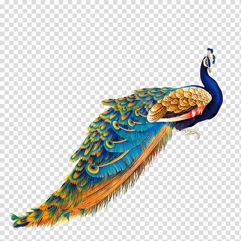 Blue and brown peacock, Bird Peafowl Painting, Color Golden