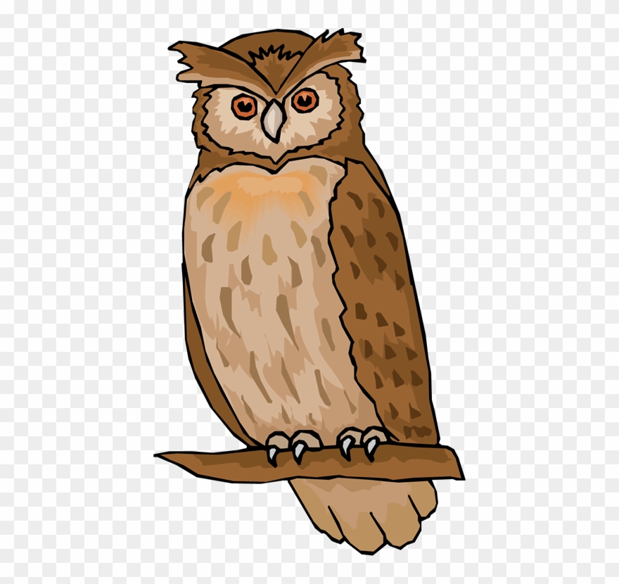 clipart picture owl