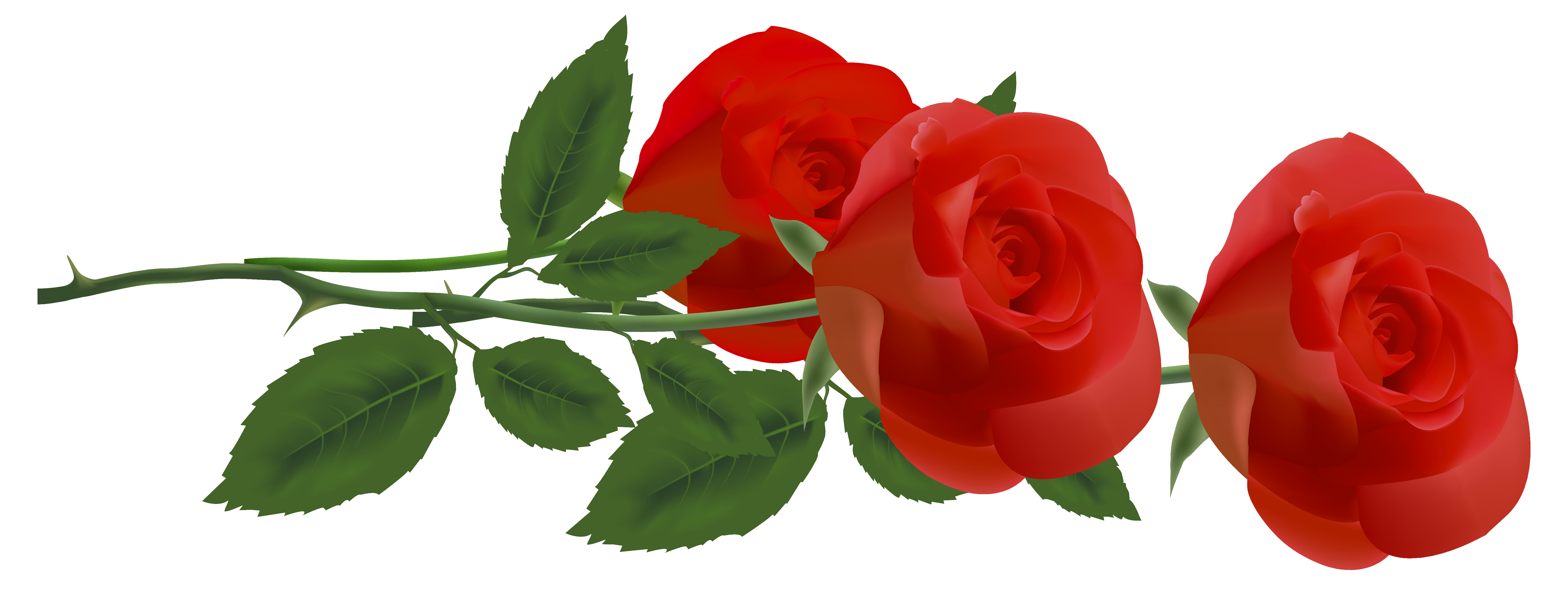 Three Red Roses PNG Clipart Picture