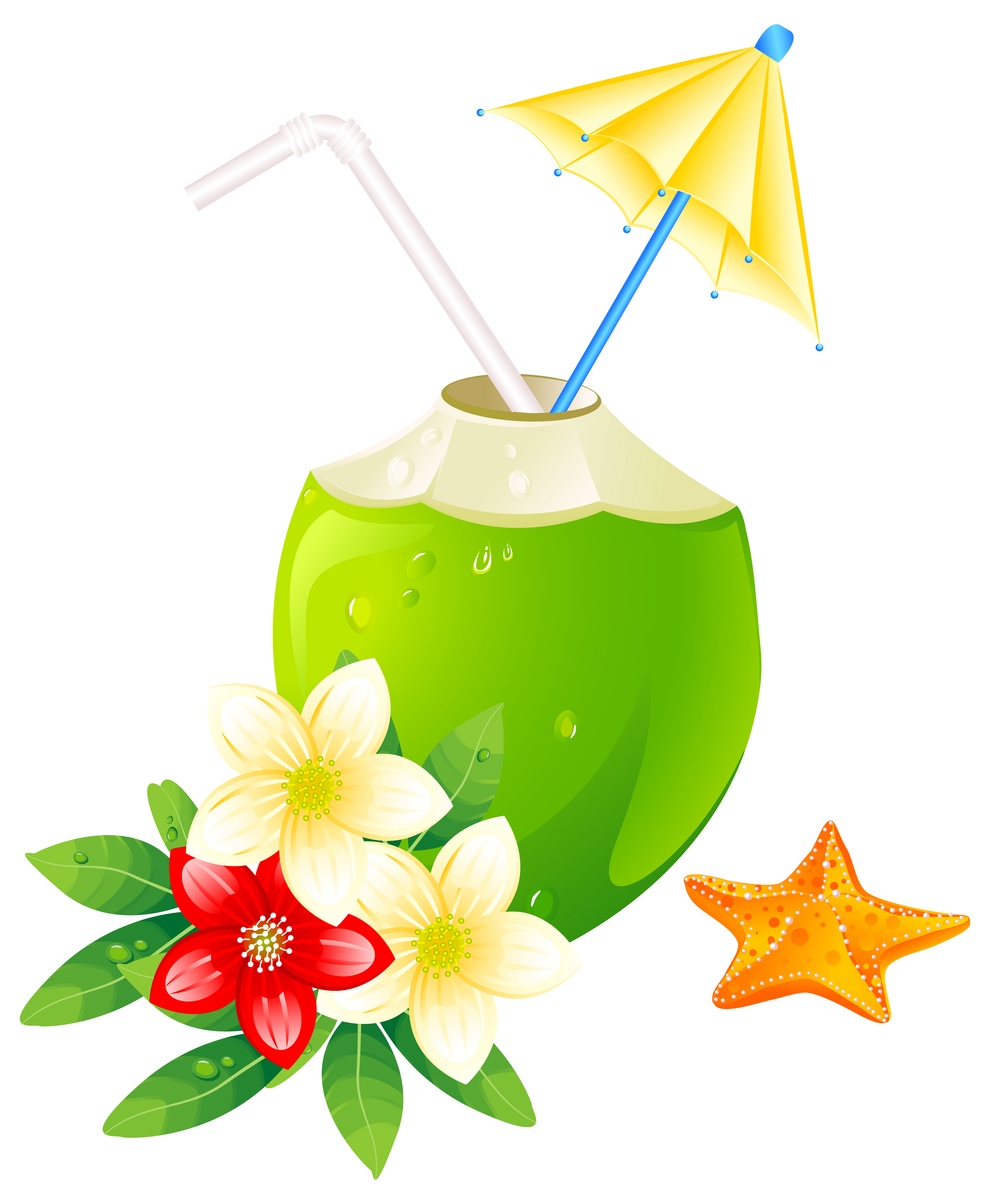 Summer cliparts png.