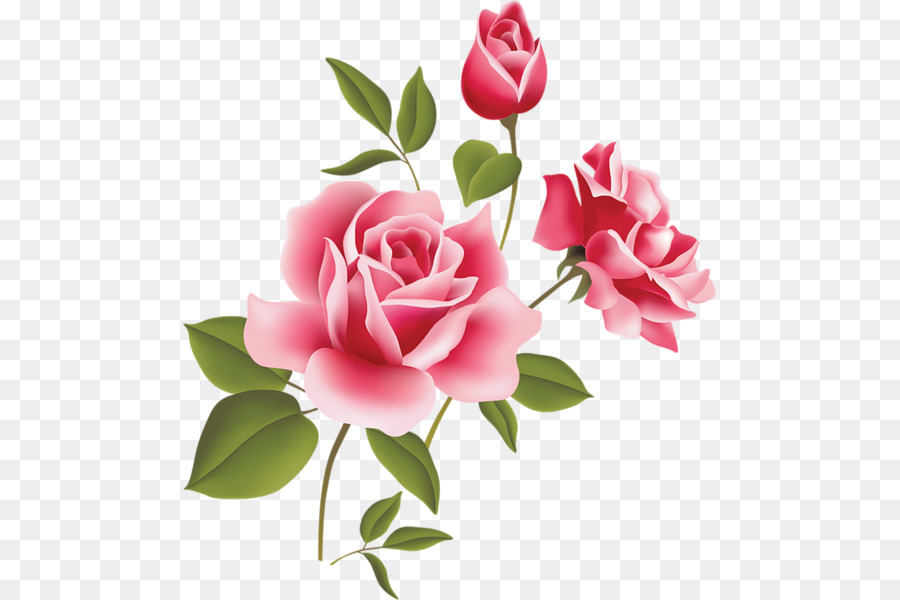 Flowers Background Free
