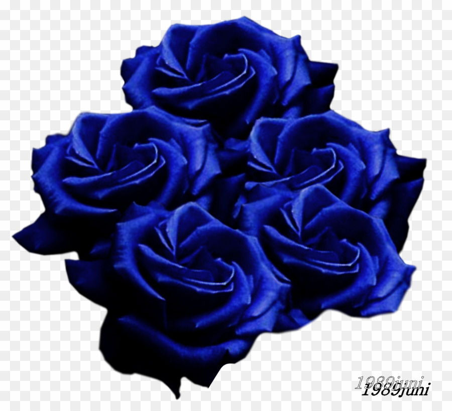 Blaue rosen png.