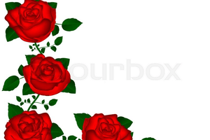Rote rosen clipart