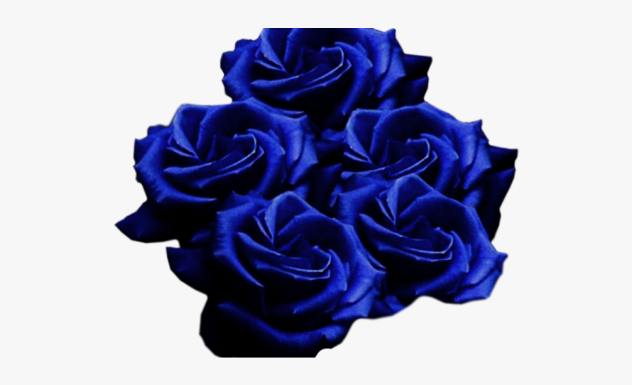 Blue rose clipart.