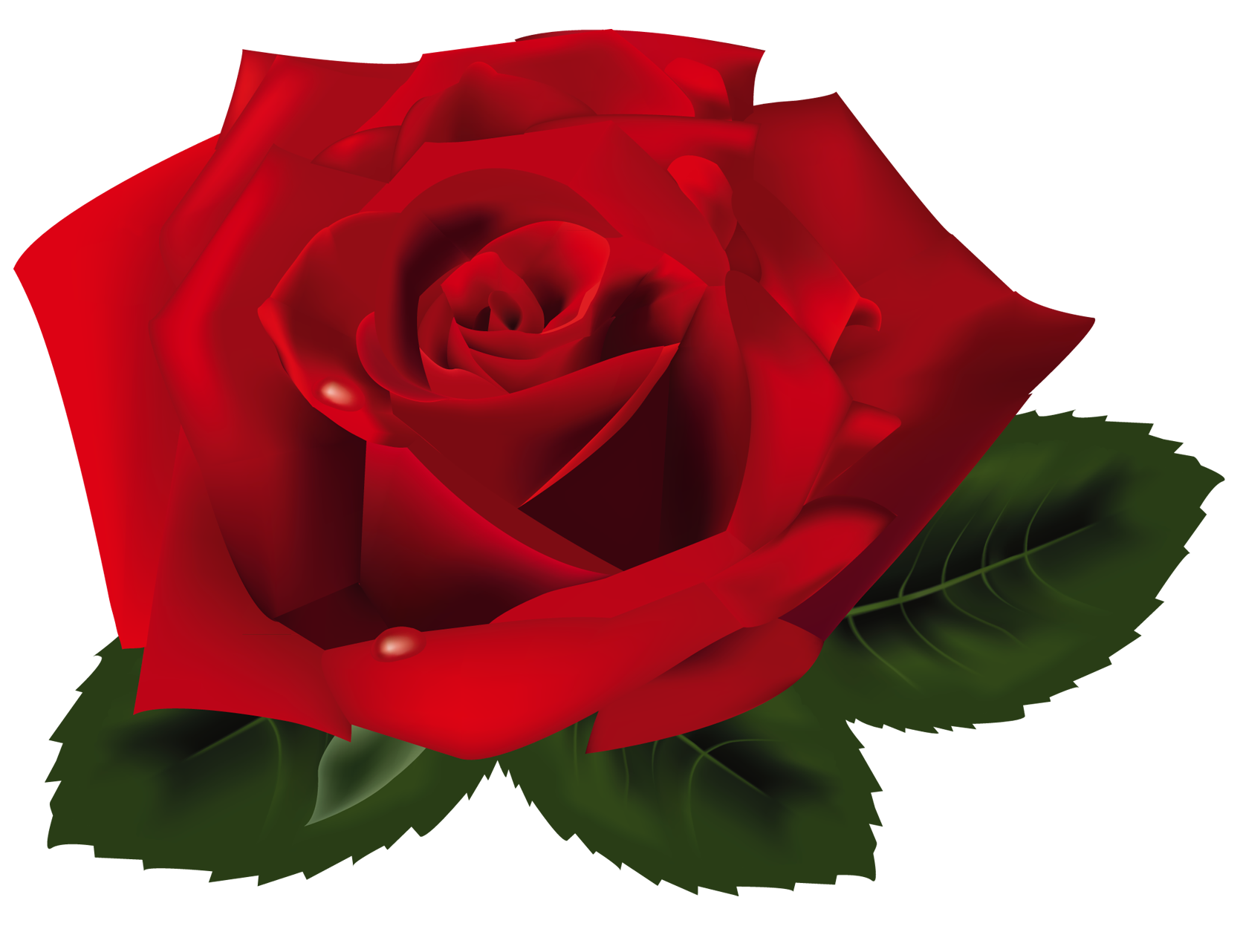 Free Rose Png, Download Free Clip Art, Free Clip Art on