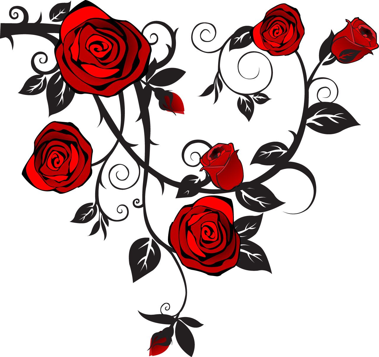 Rose image vector.