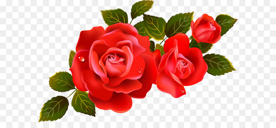 clipart rosen rote