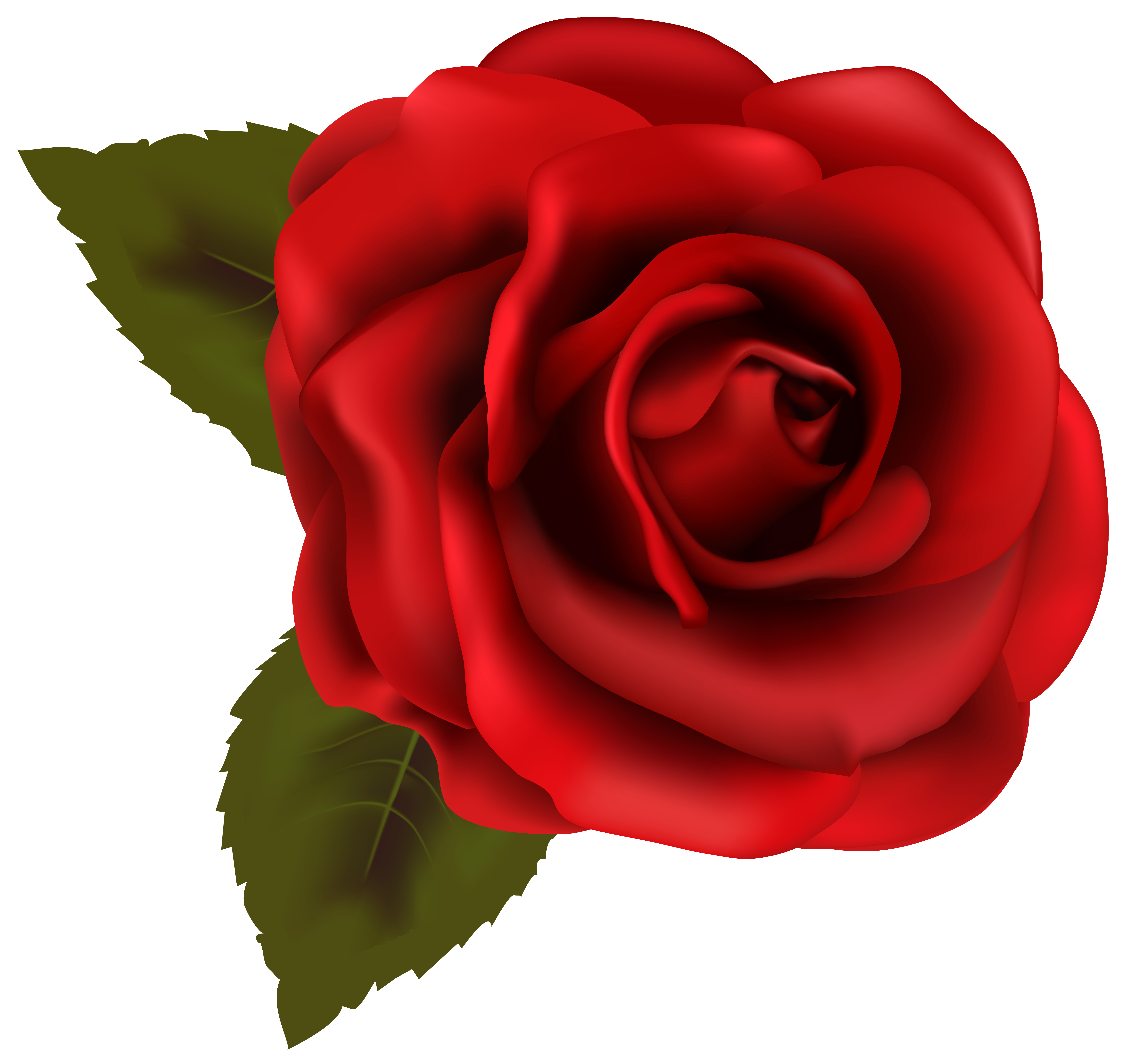 Beautiful Red Rose Transparent PNG Clip Art Image
