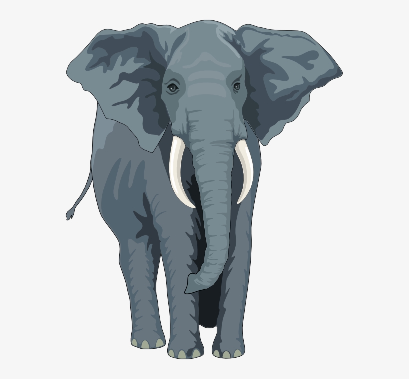 Elephant clipart suggestions.