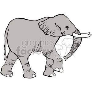 Elephant in the water clipart