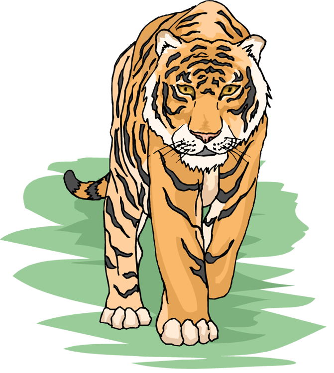 Free Tiger Cliparts, Download Free Clip Art, Free Clip Art