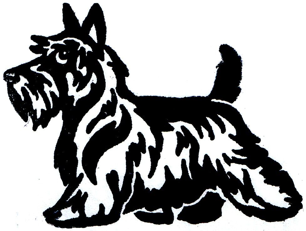 Scottish terrier cartoon.