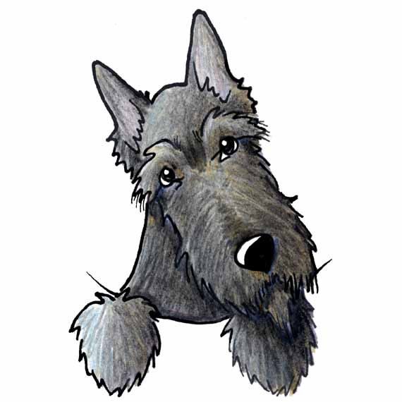 Brindle Scottie Terrier Dog Art Original Drawing ACEO
