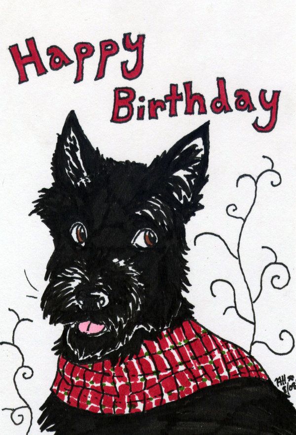 Birthday Scottie Dog by AquariusWolf
