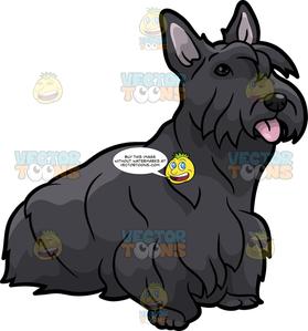 clipart scottie dog pdf