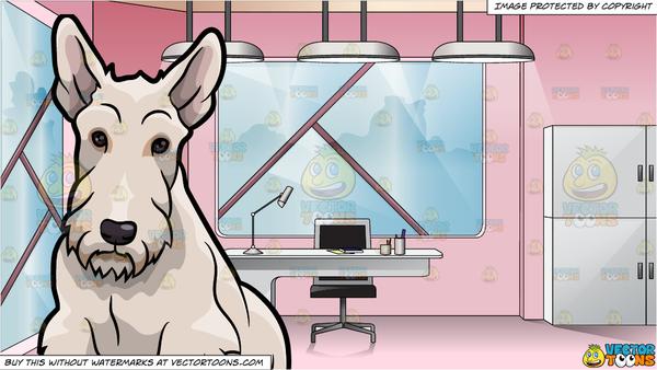 A Quiet Scottish Terrier Dog and A Pretty Retro Style Office Space