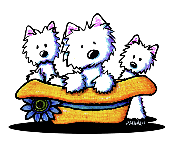 West Highland White Terrier Clip art Whiskers Drawing