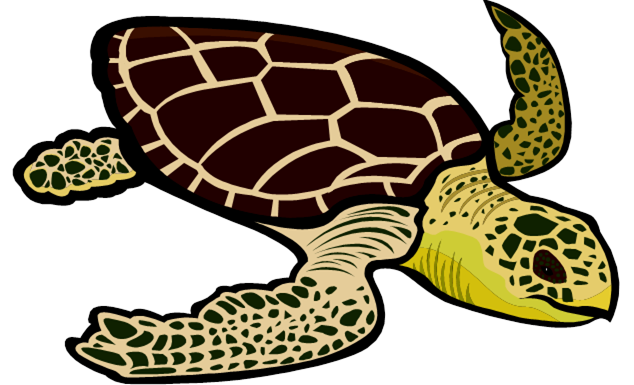 Leatherback turtle clipart.