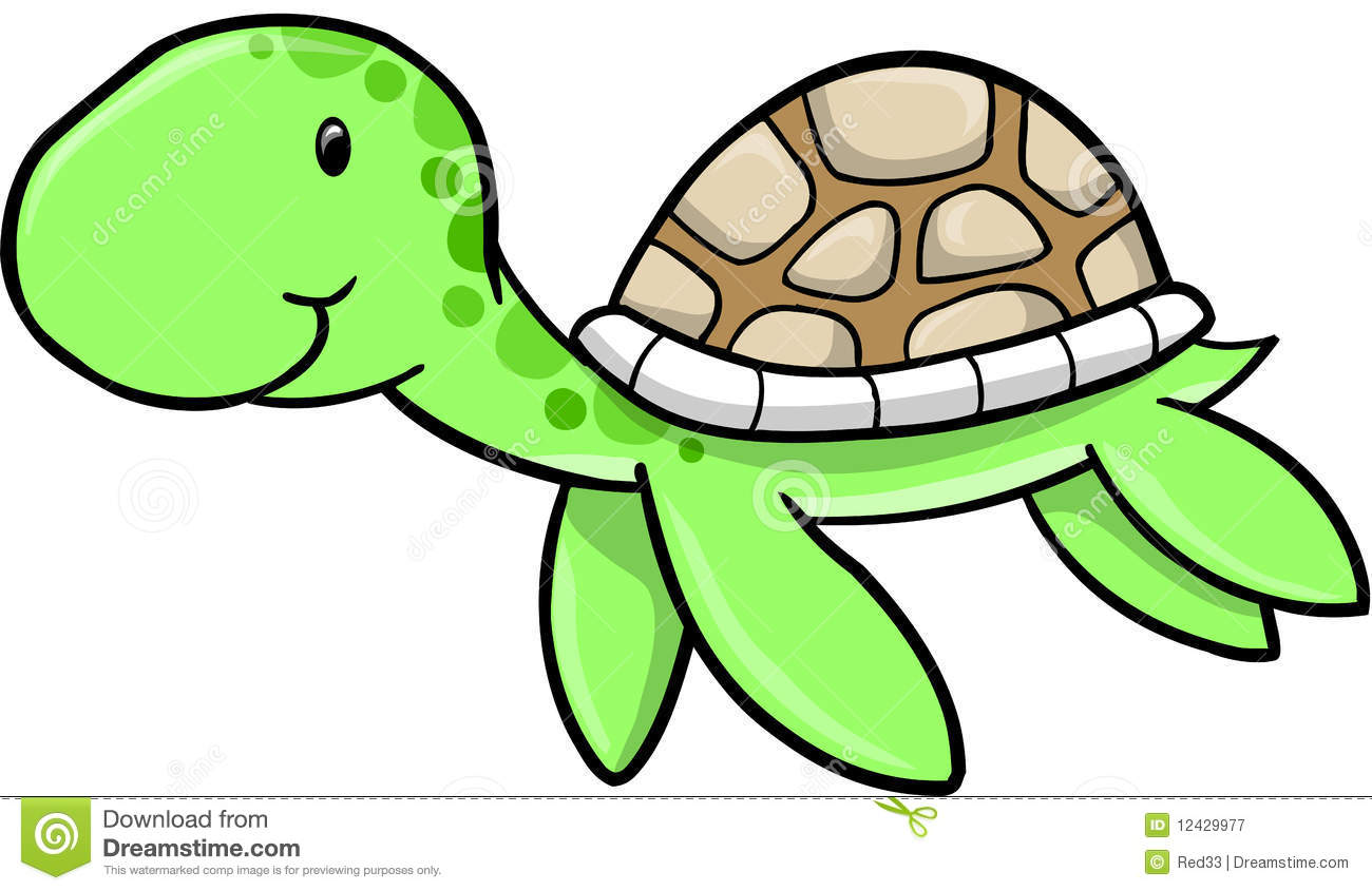 Pictures animated turtles.
