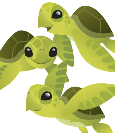 Cute Baby Sea Turtles