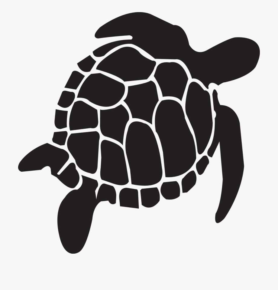 Habitat Drawing Sea Turtle