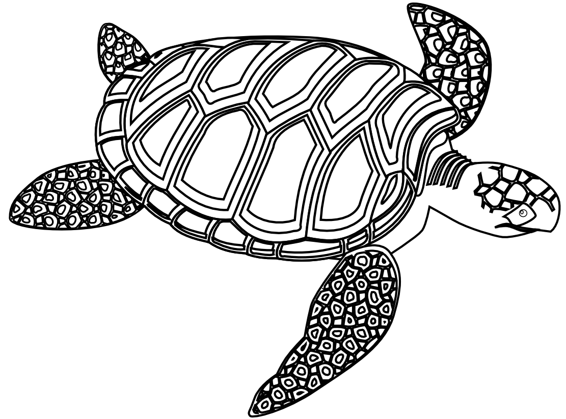 clipart sea turtle black