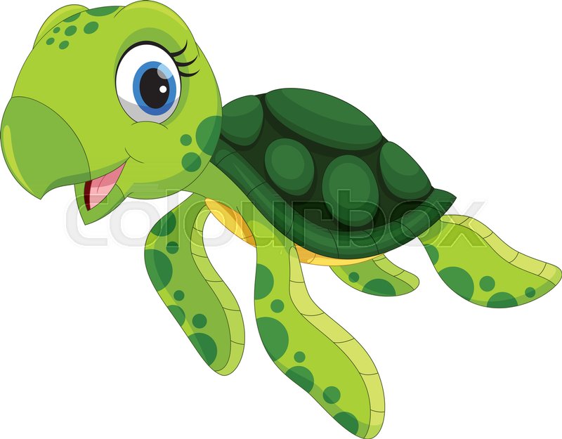 Vector illustration of cute turtle