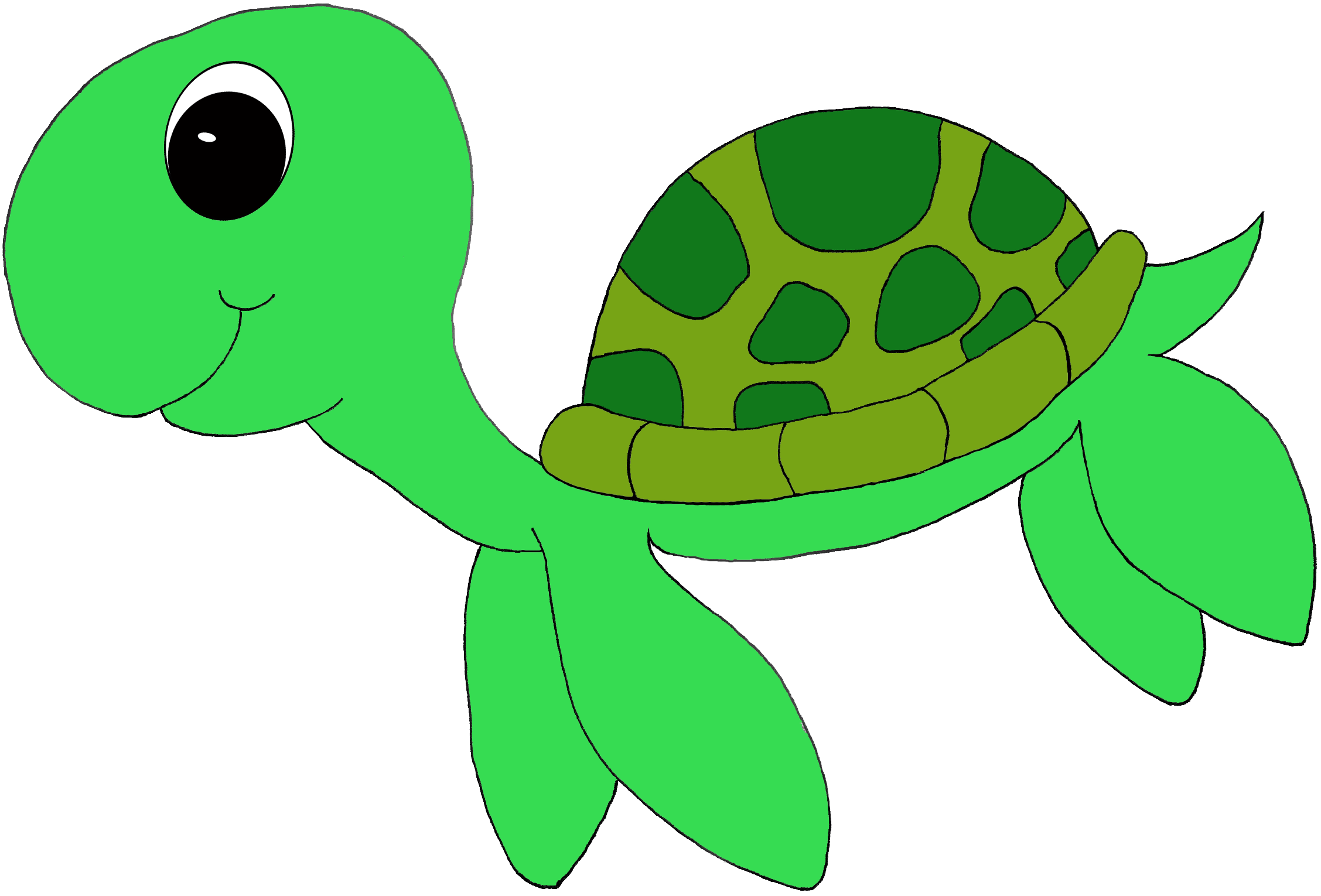 Cute clipart sea turtle, Cute sea turtle Transparent FREE