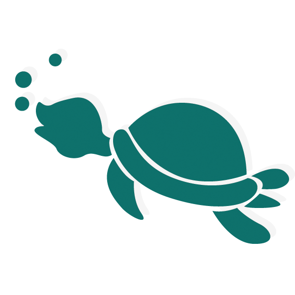 clipart sea turtle cute cartoon