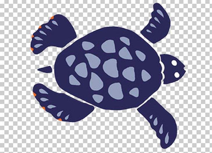 Sea turtle illustration.