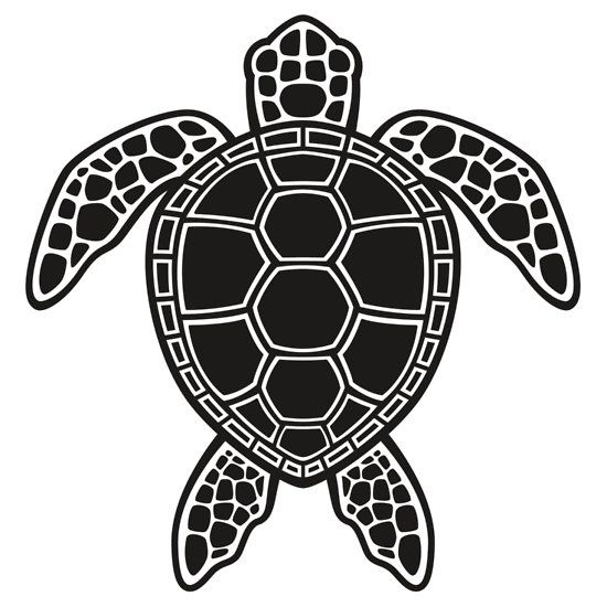 Green Sea Turtle Design