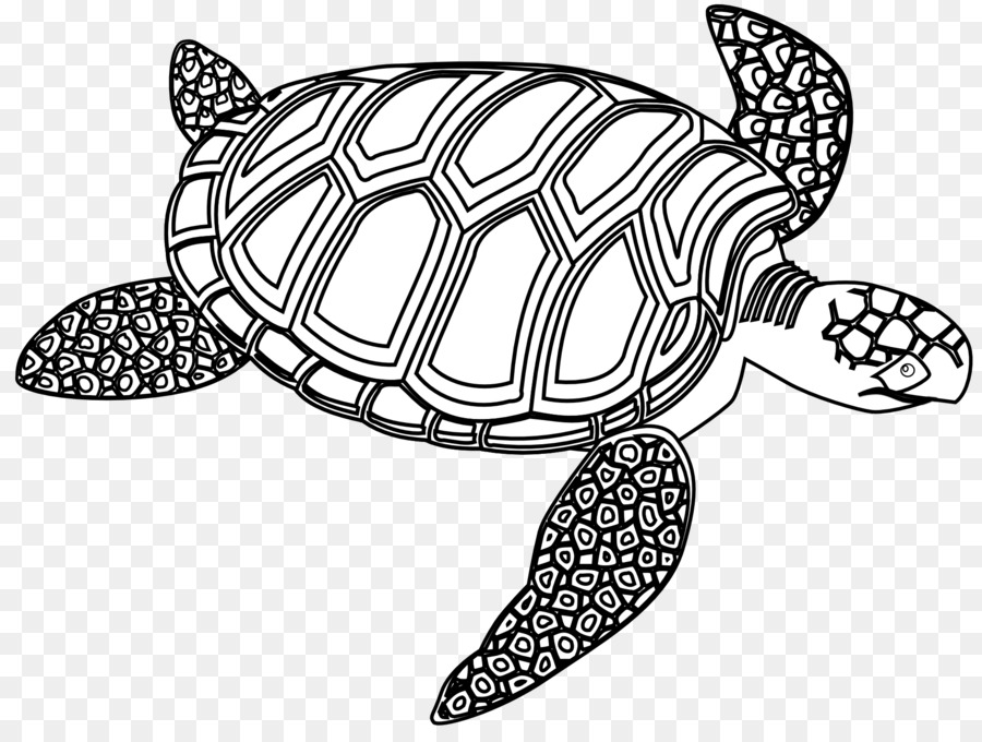 clipart sea turtle design