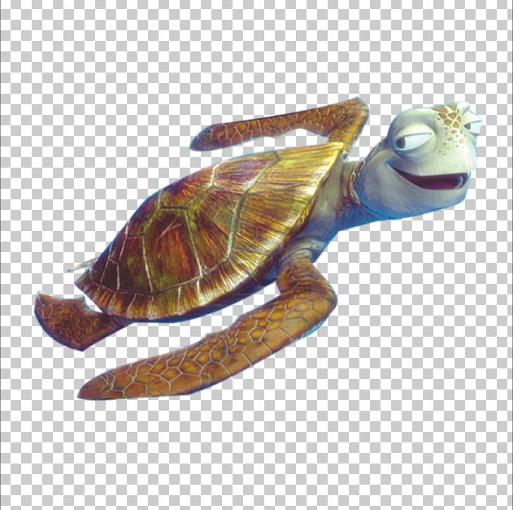 Sea turtle crush.