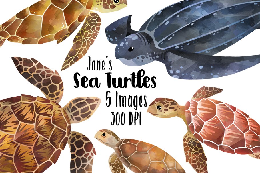 Watercolor sea turtles.