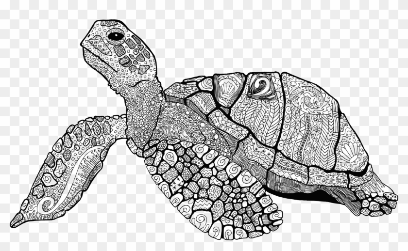 clipart sea turtle line art