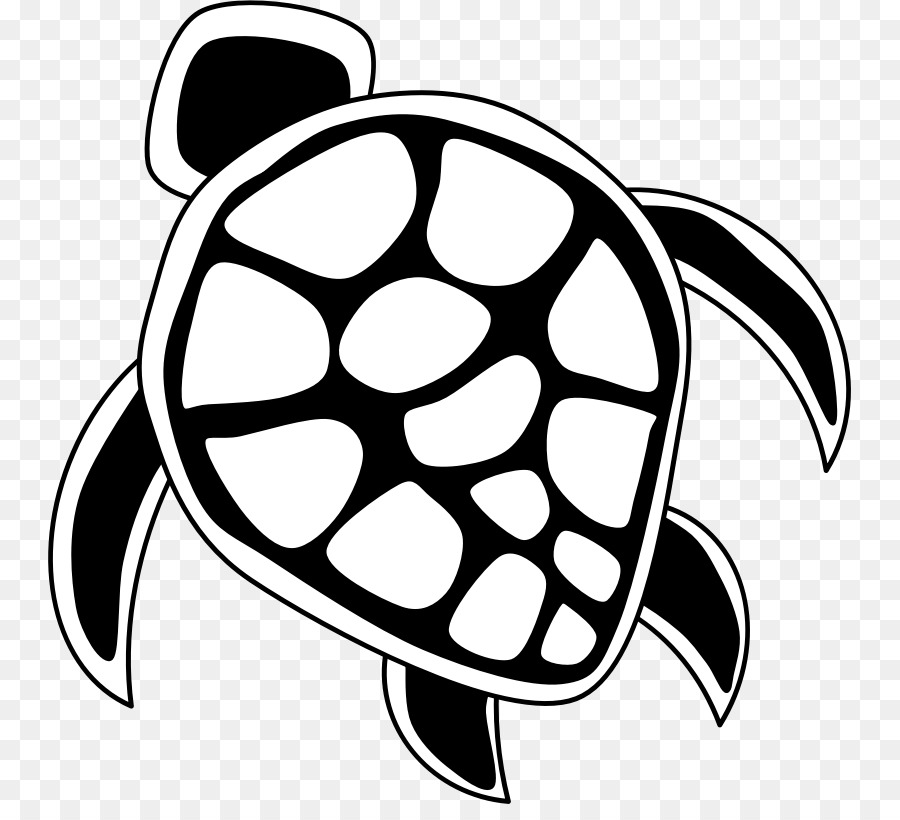 Download Free png Hawaii Sea turtle Clip art tortoide png