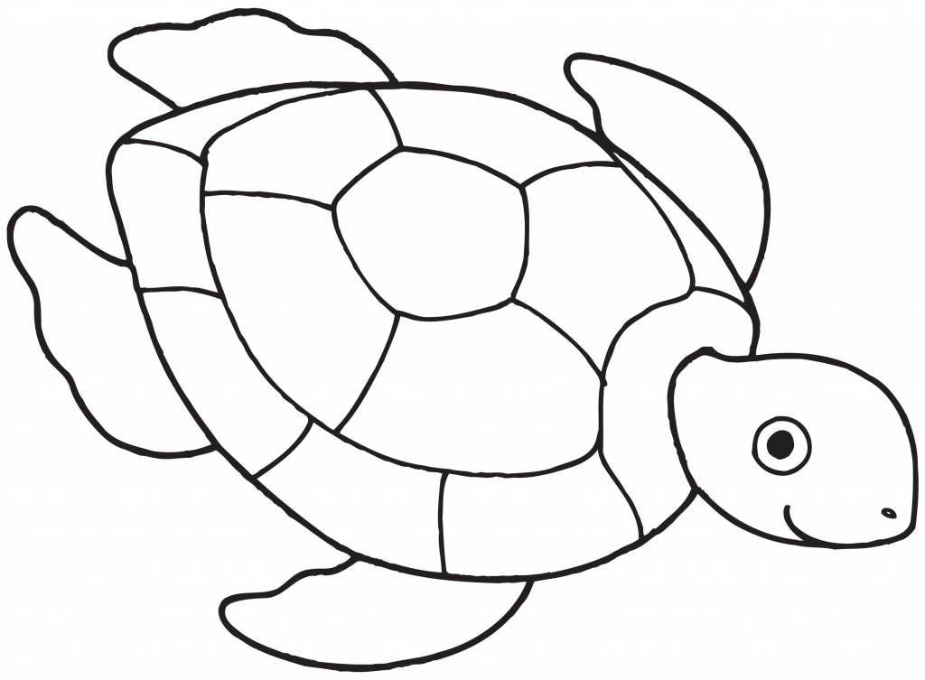 Turtle drawing free.