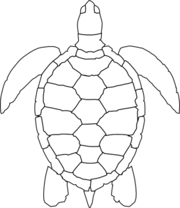 Turtle outline clip.